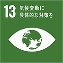 SDGs Goal 13